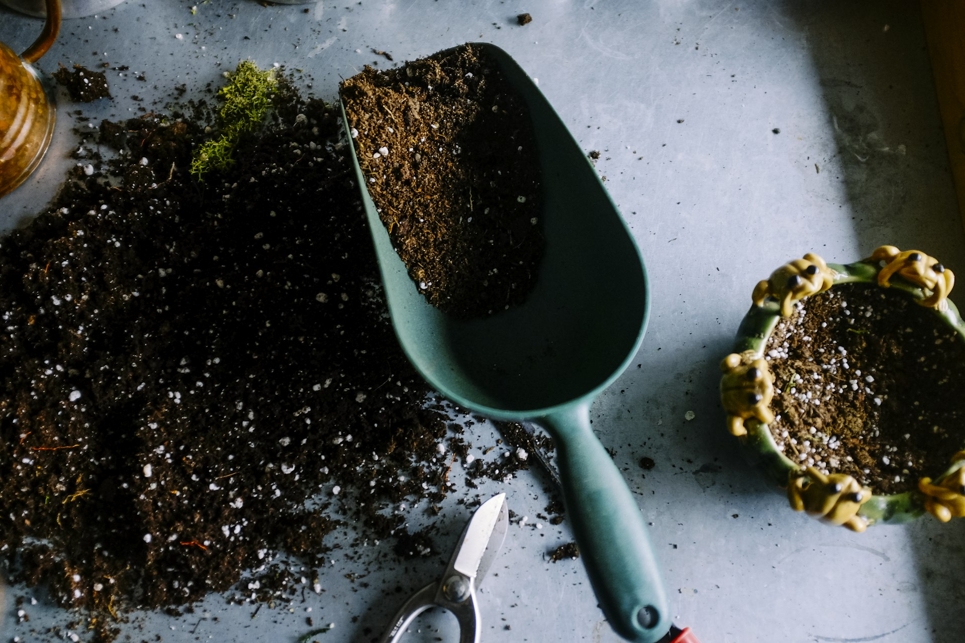 Top-down view of potting soil, a green soil scoop, ceramic pot, and gardening tools on a grey surface